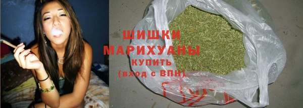 ПСИЛОЦИБИНОВЫЕ ГРИБЫ Карабаново