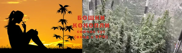 Альфа ПВП Белокуриха