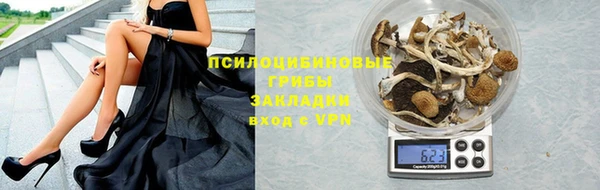 spice Беломорск