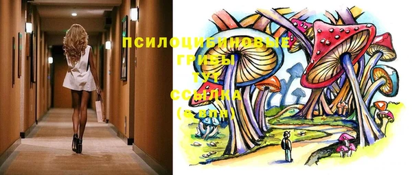 таблы Богородск