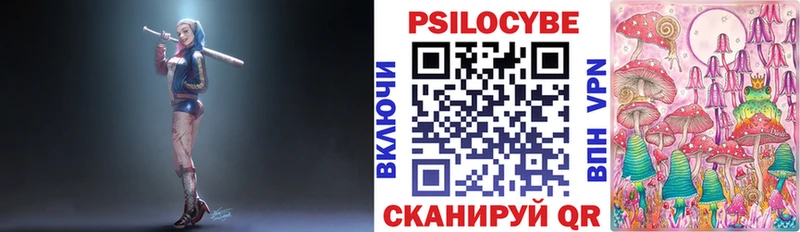закладки  Курильск  Псилоцибиновые грибы прущие грибы 