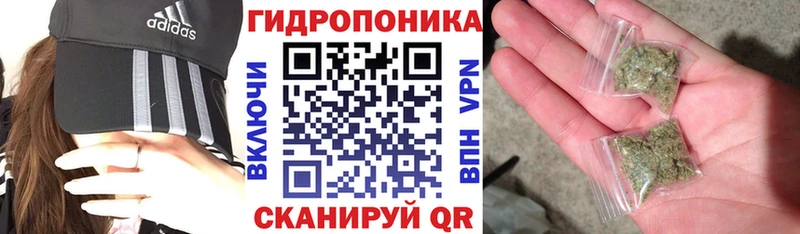 Конопля THC 21% KRAKEN ССЫЛКА Курильск где можно купить наркотик
